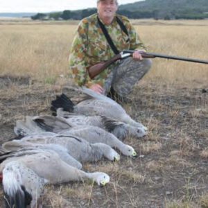 Sizable birds, the Cape Barren Geese, with a happy shooter.