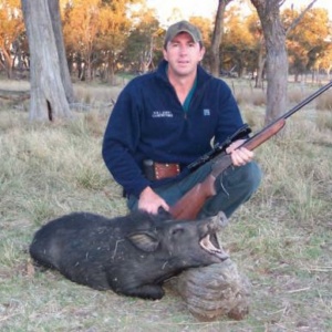 With careful placement of an appropriate projectile - Taipan 50gn HP - small pigs are fair game with the Hornet.