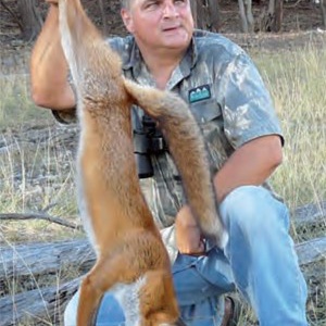 Author near the timber with a fox decked at 150 yards with the Weatherby Vanguard in .223 Rem.