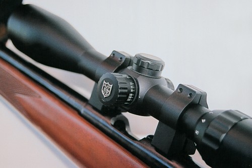 Scopes for rimfires 2