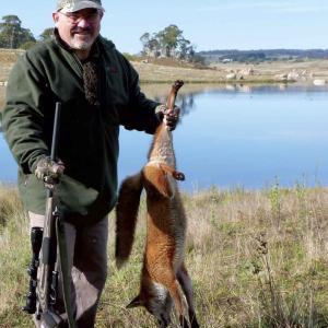 This vixen paid with her life for hanging at 300 yards and thinking she was safe.