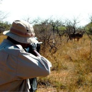 Hunting will continue to play a major role in South Africa's environmental and economic growth. (Pic: cruisersafaris.com)