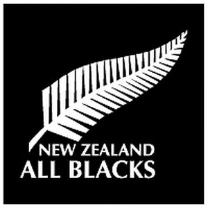 All Blacks Silver Fern Symbol