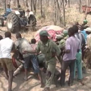 This video shows the remarkable process of an elephant being butchered: nothing is wasted.