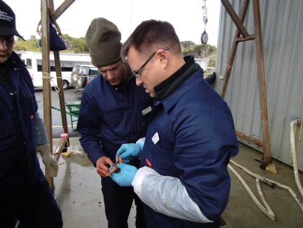 Matt Salmon and Simon Toop from the Game Management Authority aging a hog deer jawbone.