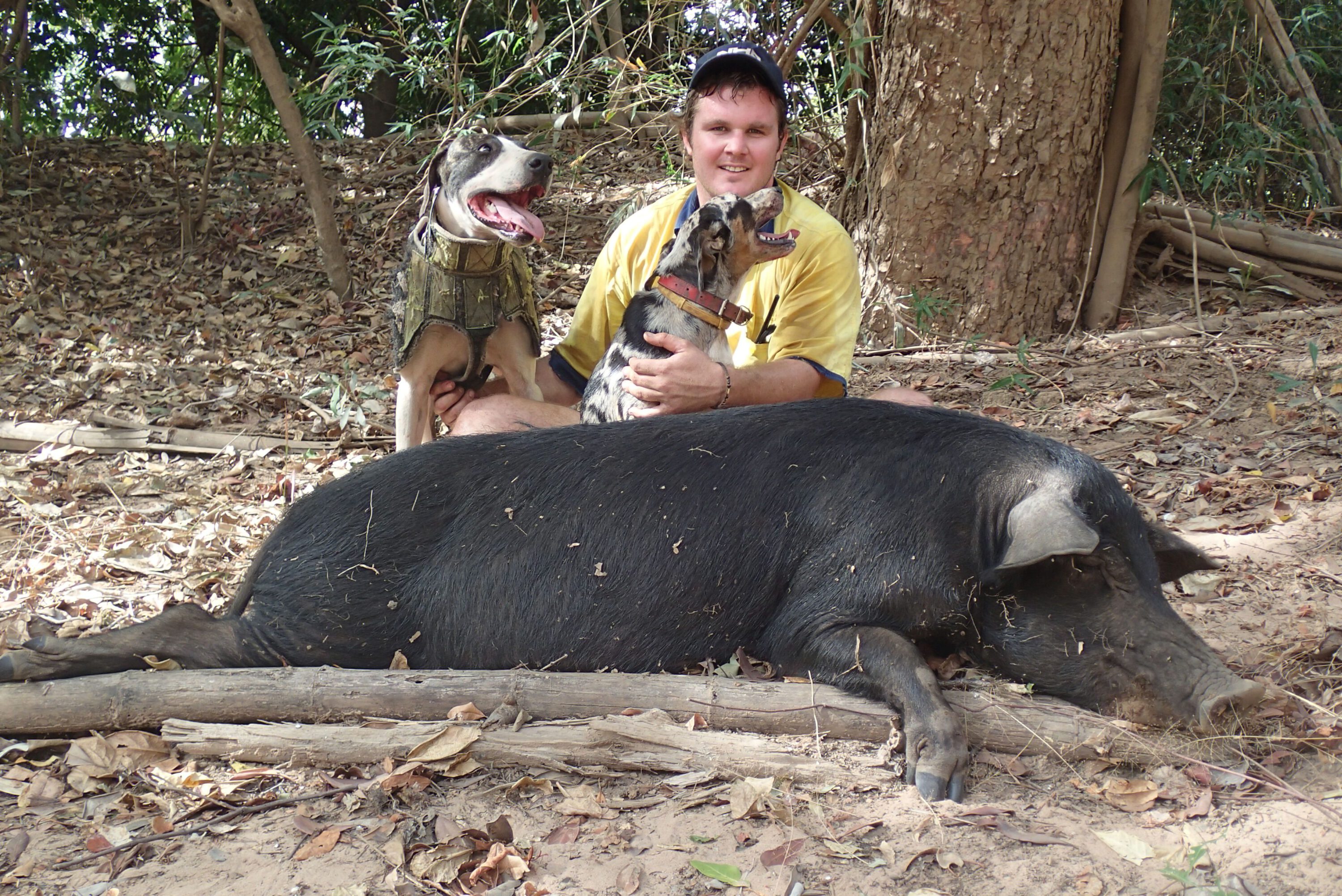 Matt, dishlickers and unfortunate porker.