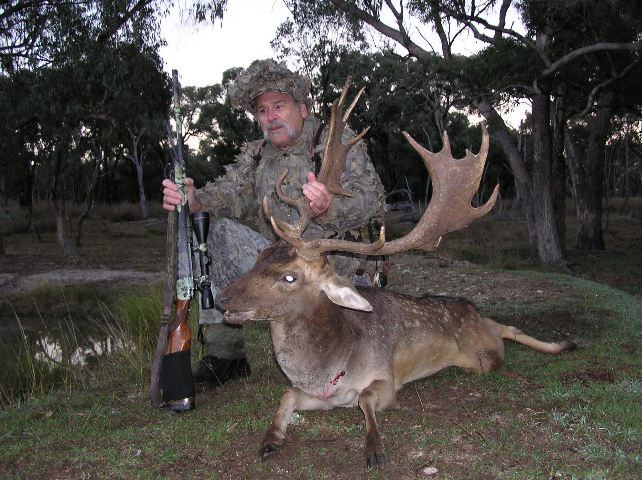 Ted's fallow buck taken with 7mm-08