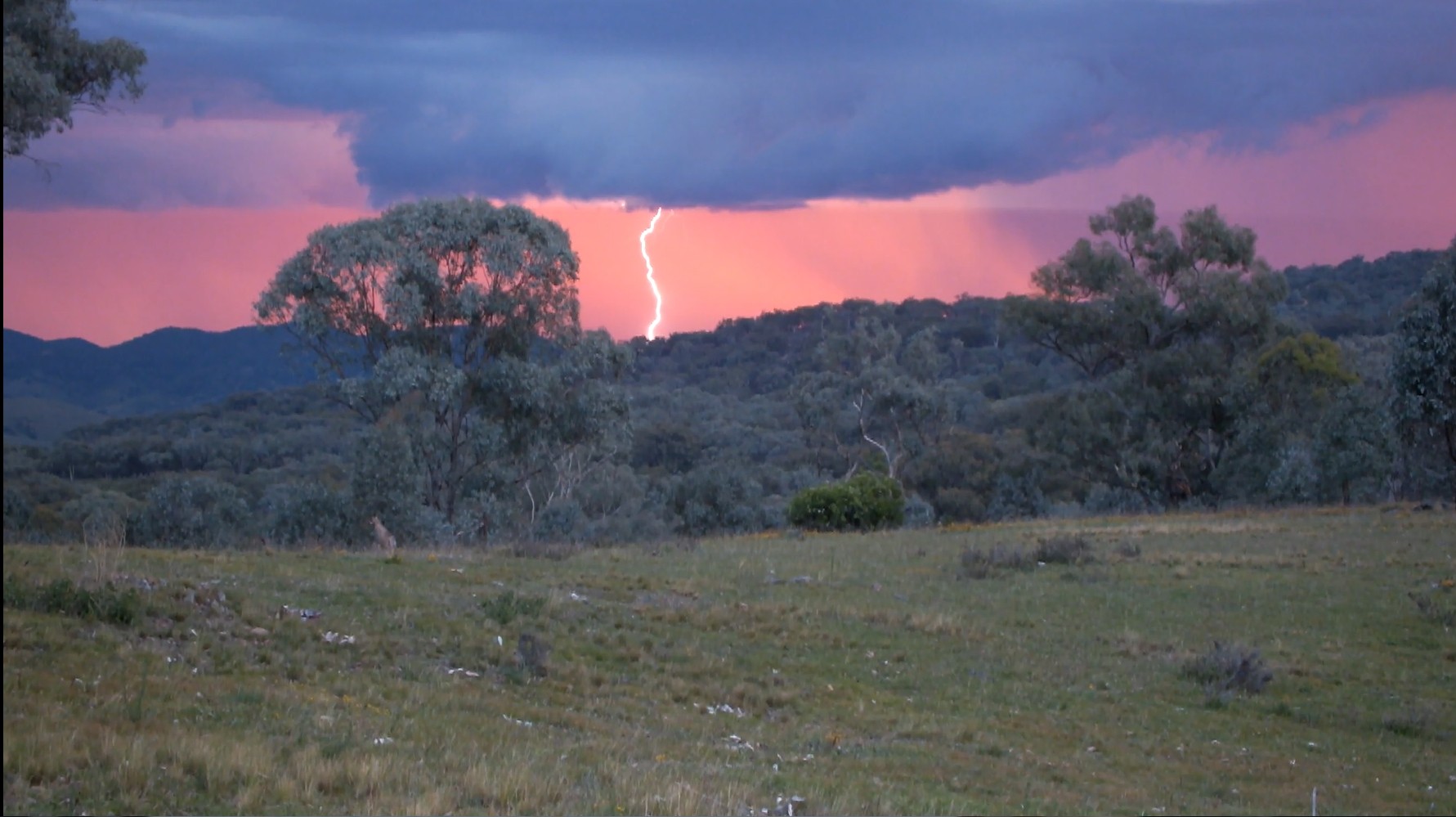 The storm we videoed from the top of a fence post returning from the day two goat hunt.