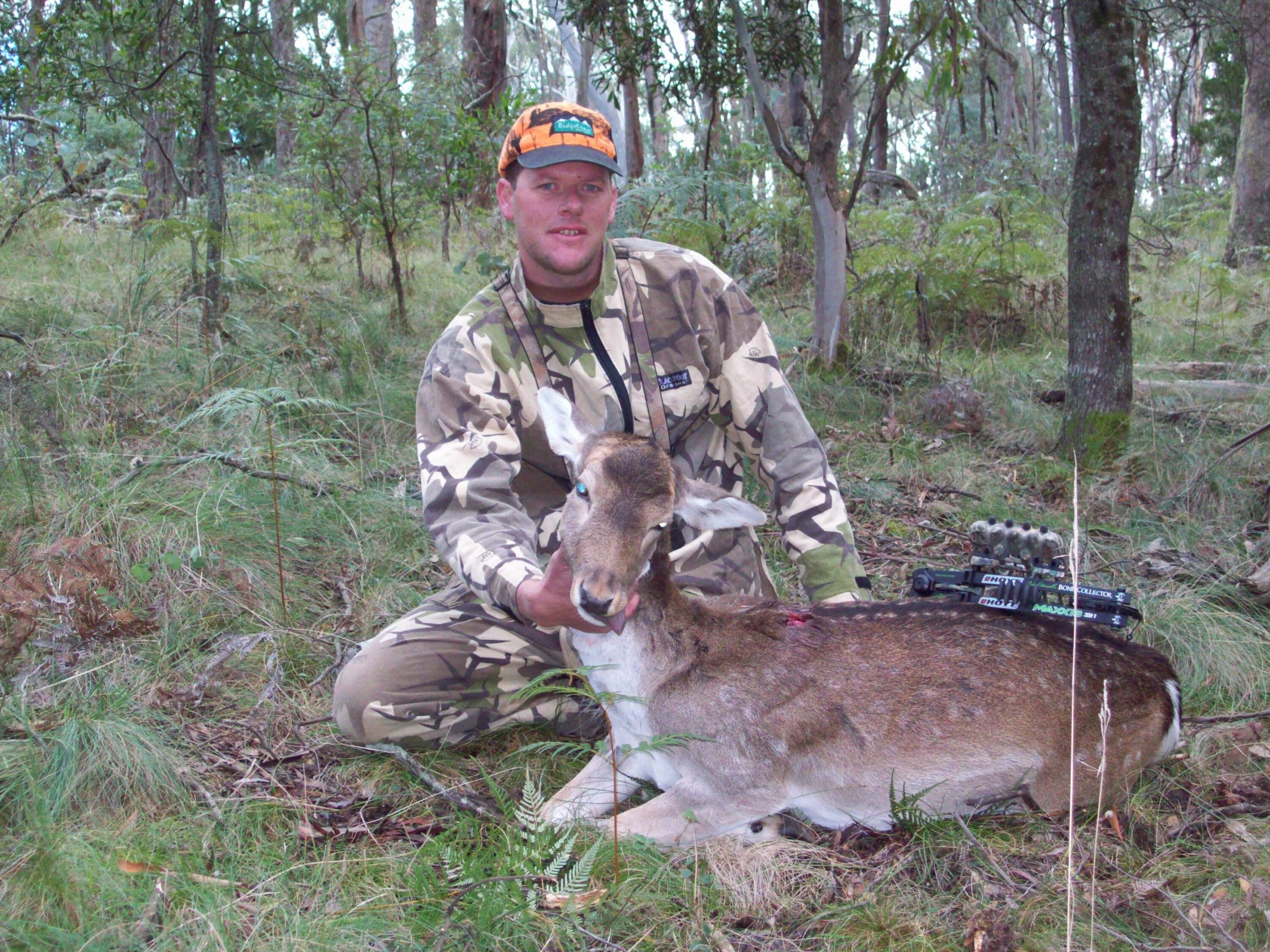 Happy bowhunter decks deer in NSW State Forest.