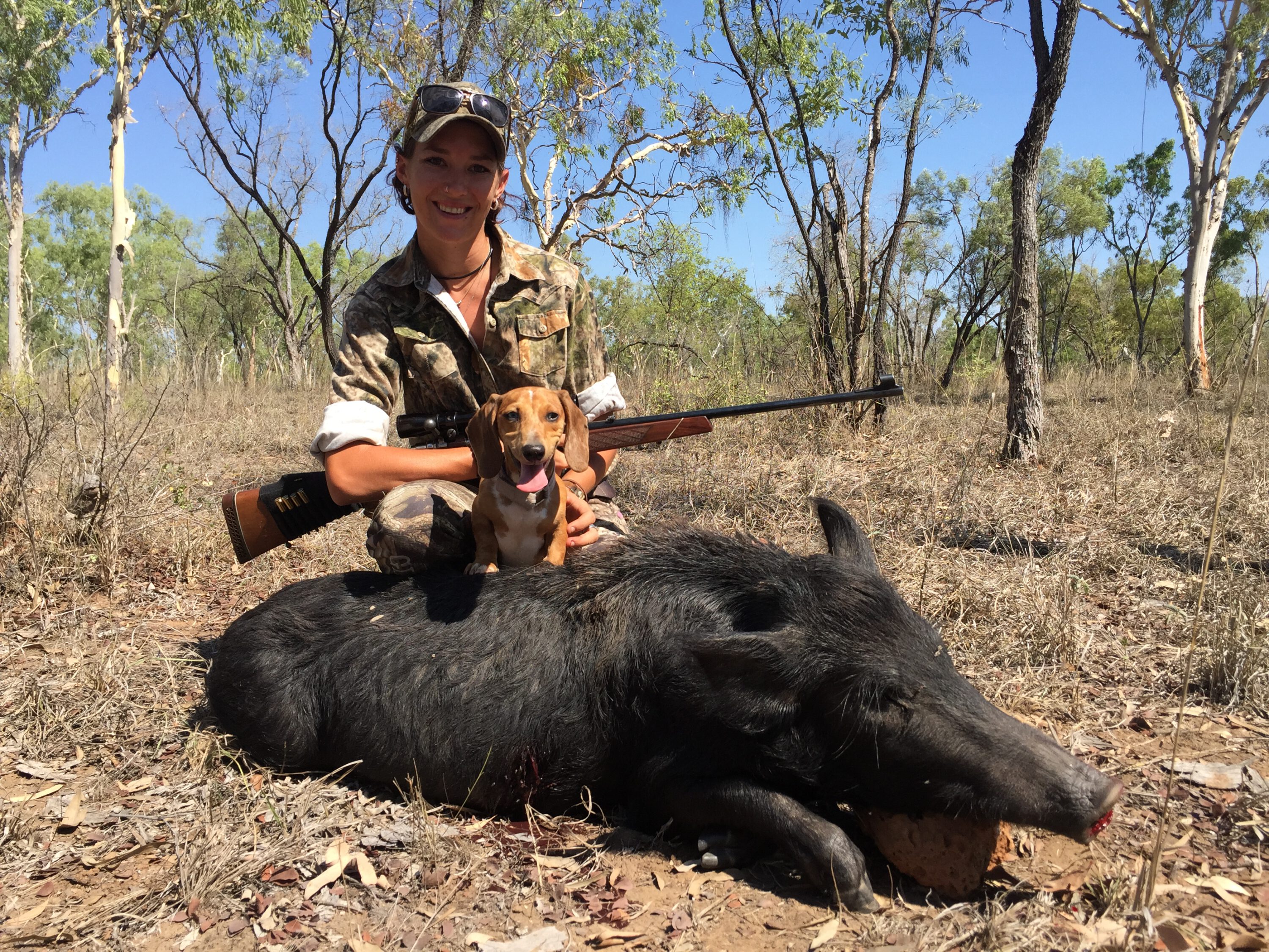 This large sow was accounted for, feeding high up on a ridge.