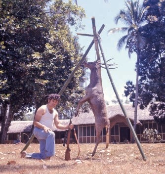 Improvised sapling tripod deer hoist