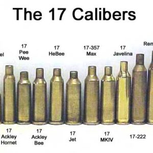 .17 cartridges lineup - Image-Saubier