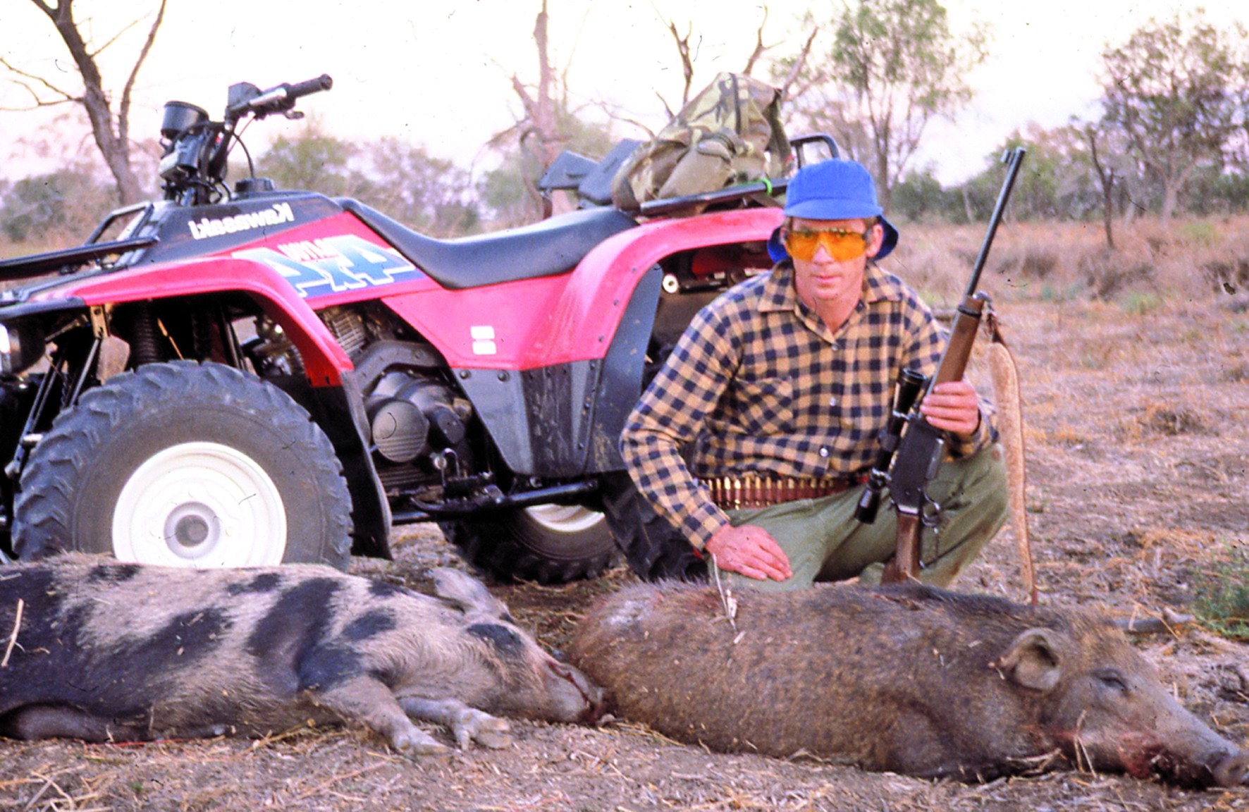 the-308-for-pigs-and-deer-sporting-shooter