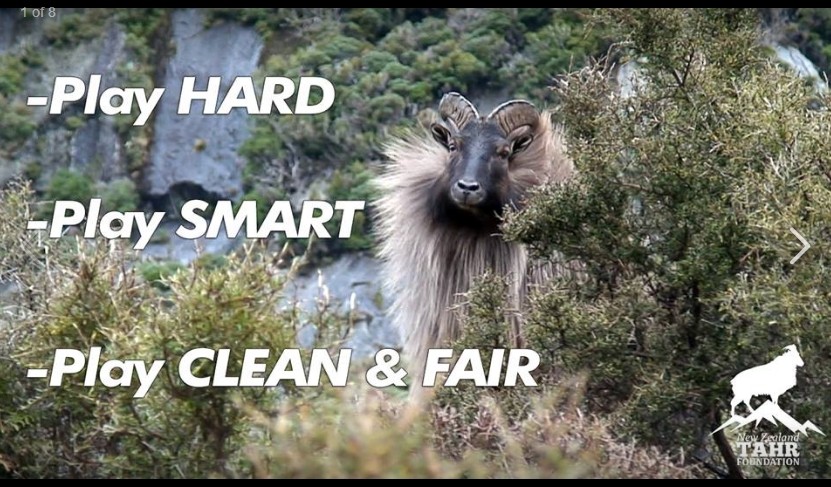 Play Hard Tahr