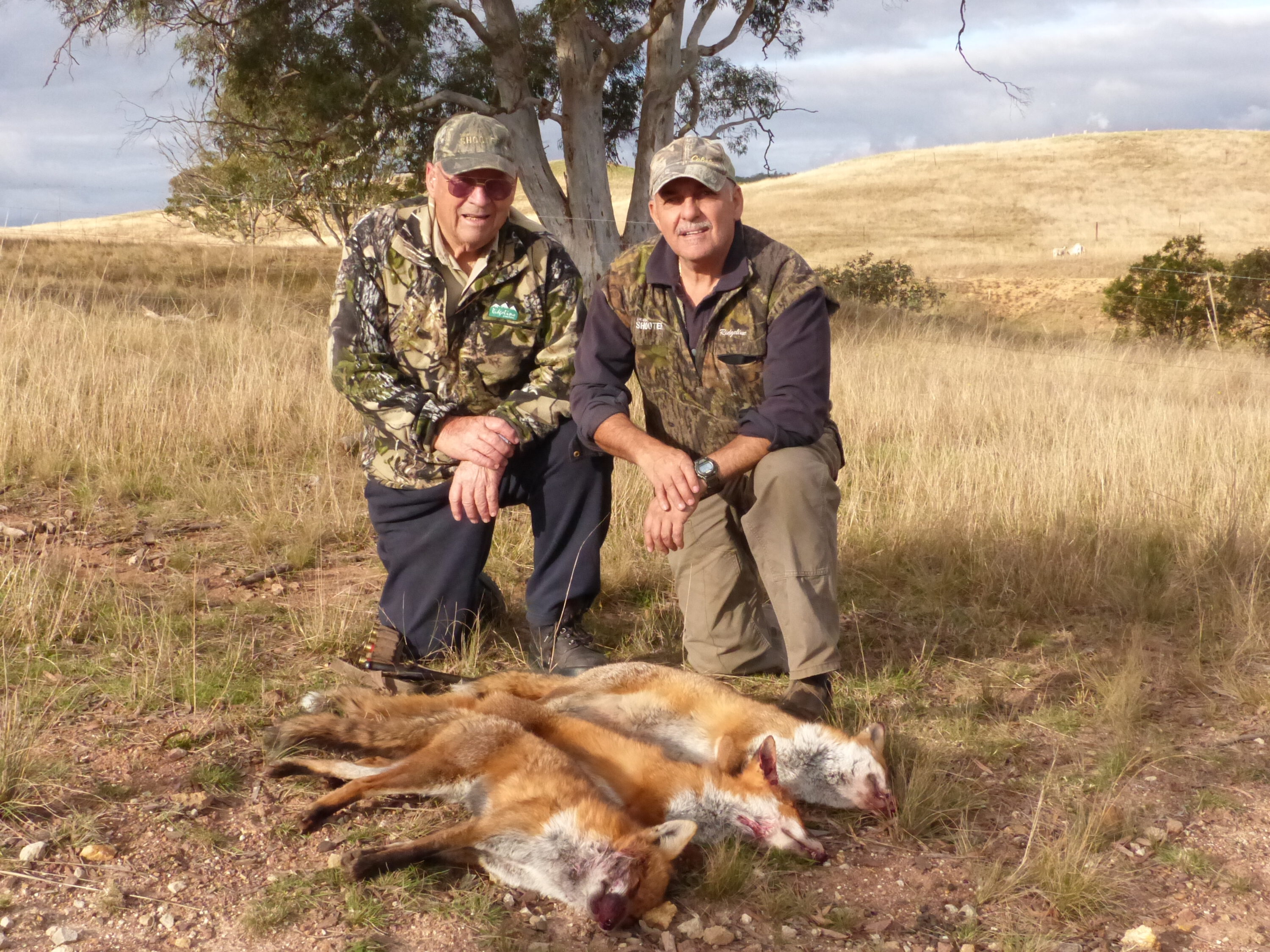 Tony and old fox shooting pro Bill Searle, Togerther they have wrapped up tens of thousands of fox kills between them by whistling, under the light and on drives.