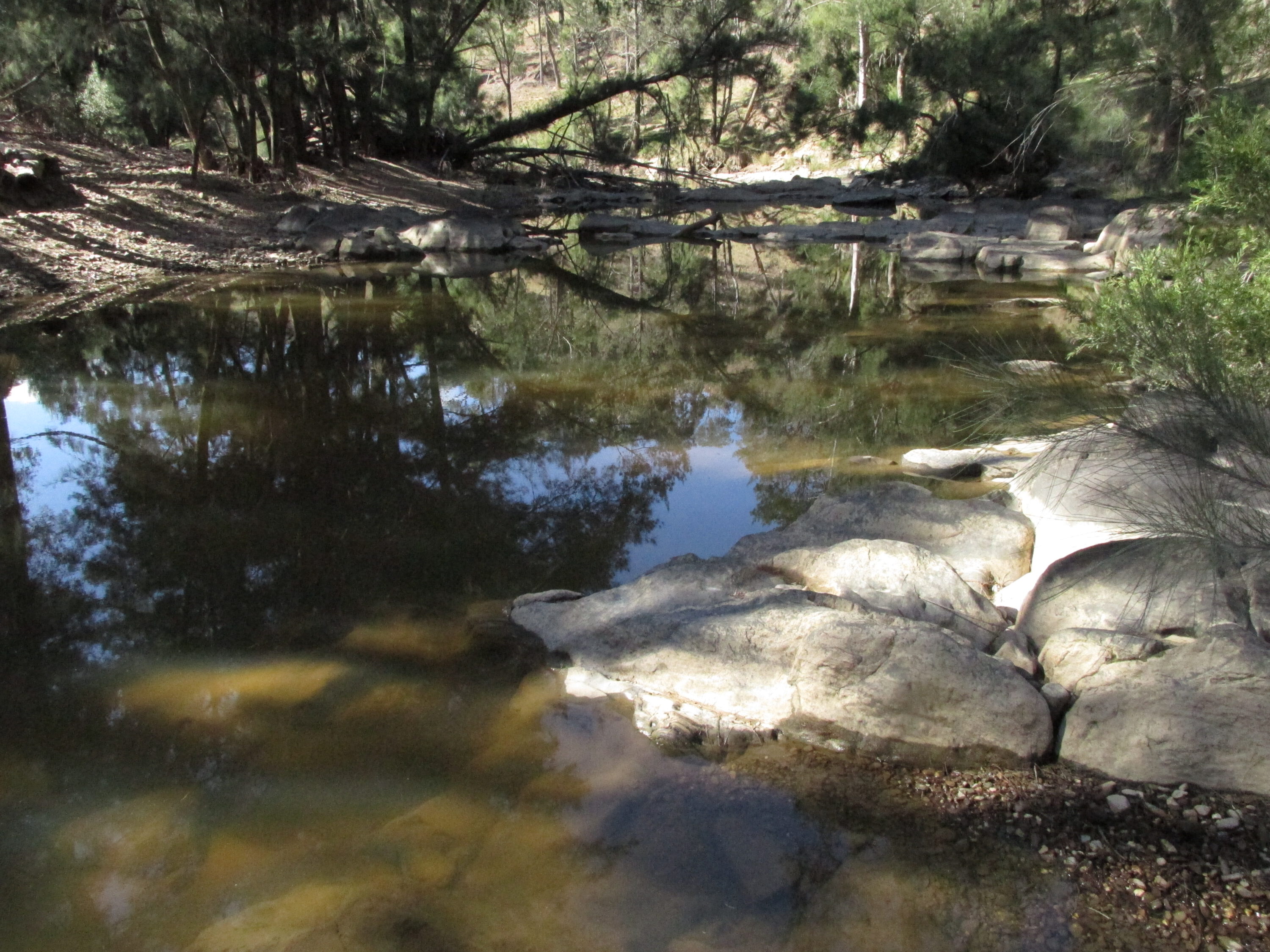 A creekside campsite is a great place to start when selecting your site.