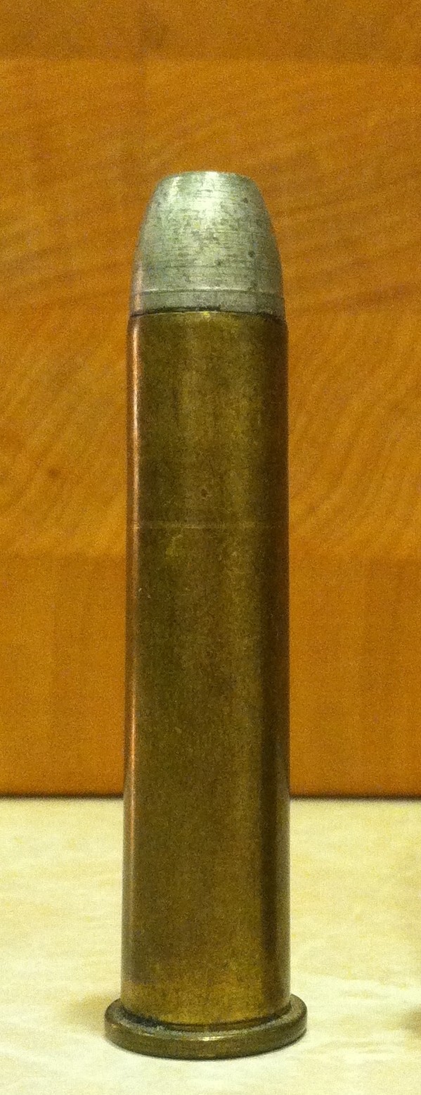 .45-70 Cartridge