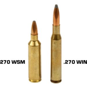 .270 WSM vs .270 Win.