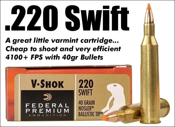 The .220 Swift – Speed King of the Factory 22 Centerfire Cartridges