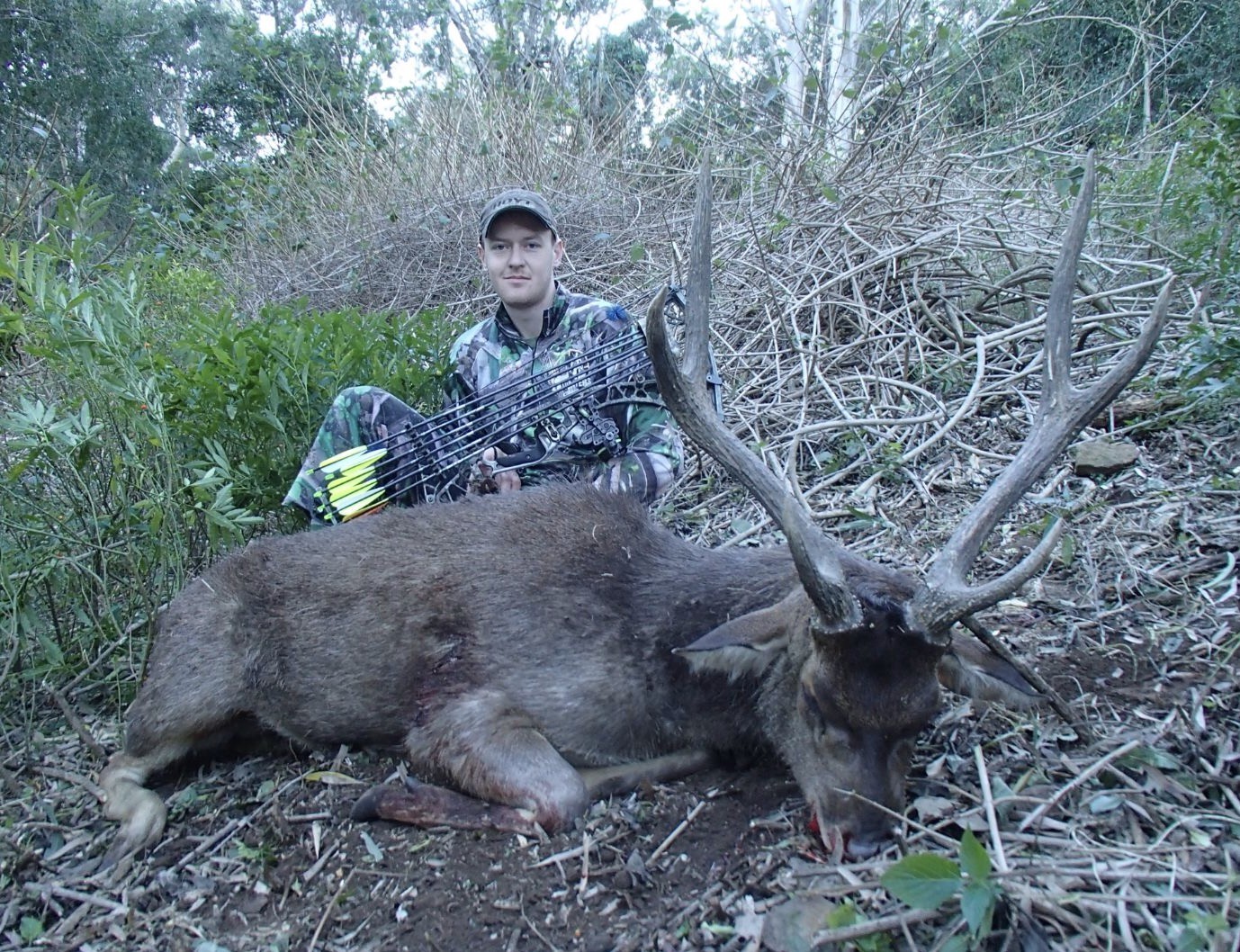 A lovely NSW coastal rusa, all the sweeter for Corey as he took it with his bow.