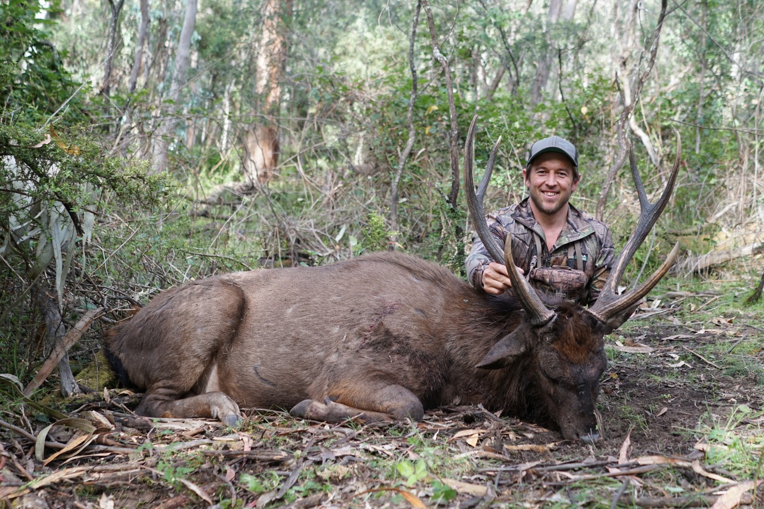 Jared's sambar had awesome symmetry, just before he cast one antler.