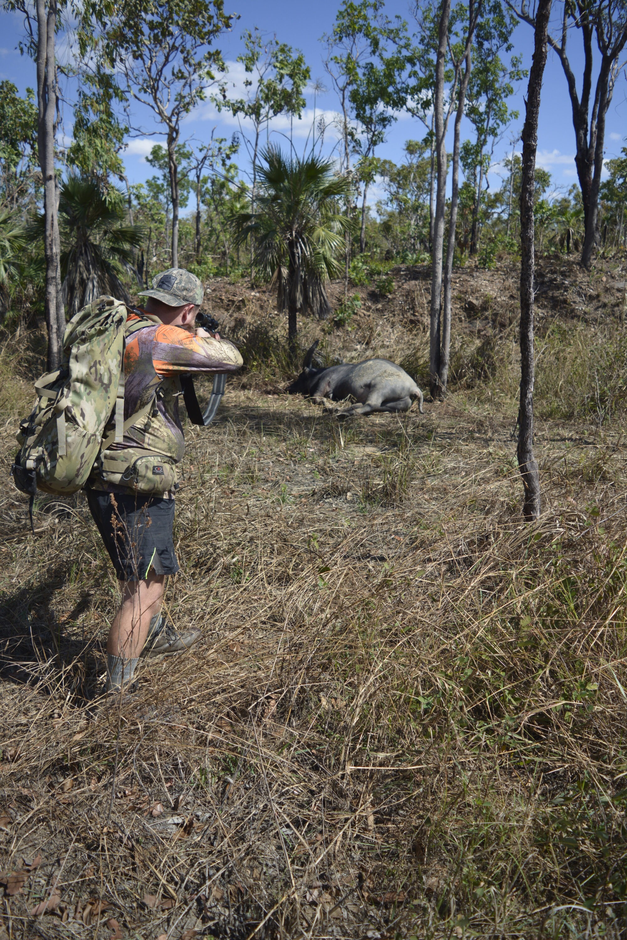 An insurance shot to the heart for hunter safety.