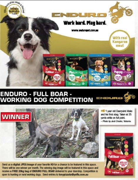 Enduro Dog Food Photo Comp