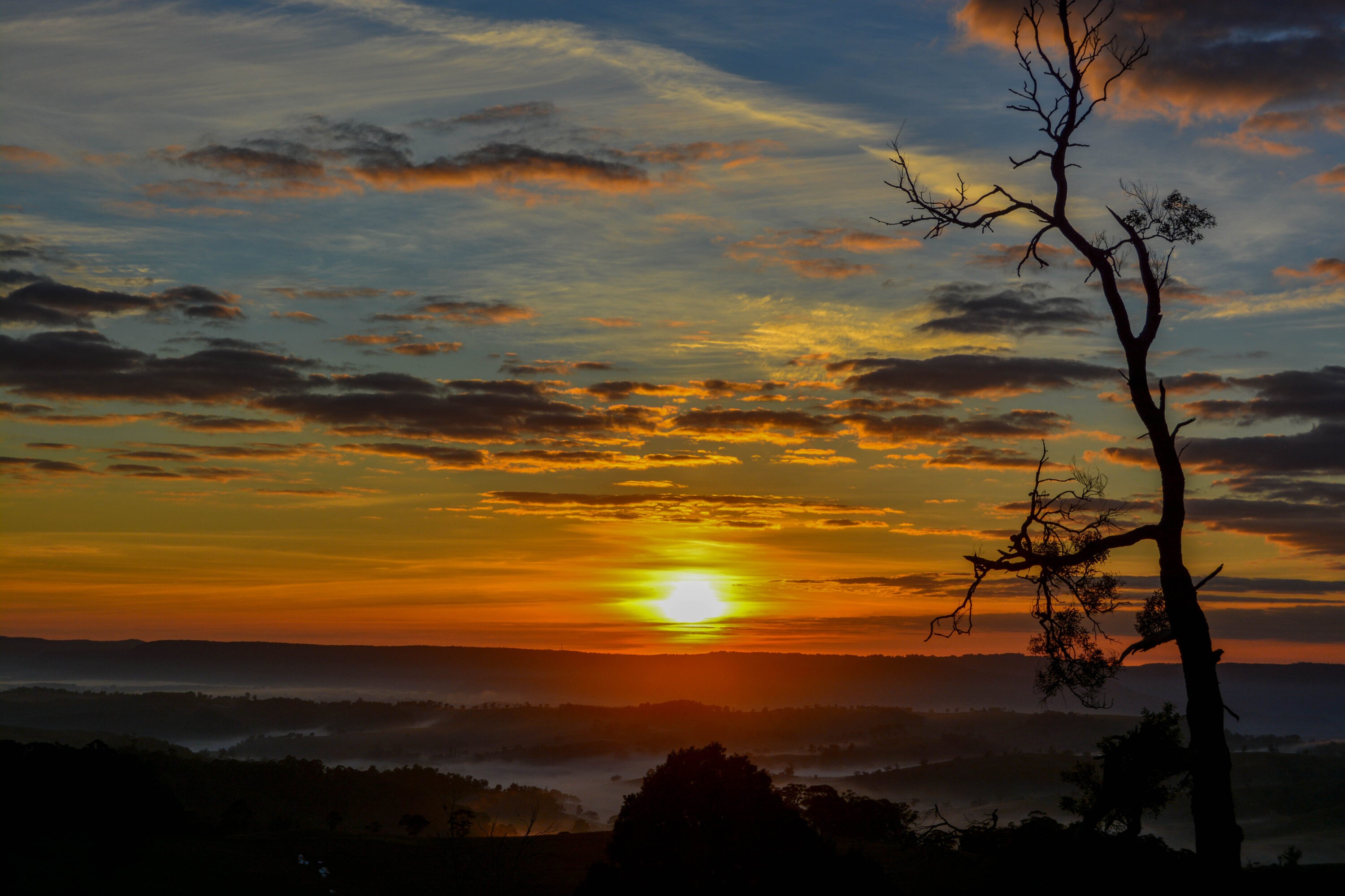 Sunrise during the roar brings about a time of listening, sometimes it’s a no brainer ‚Äúoh yes there’s one‚Äù like it was meant to be, at other times you feel completely robbed.