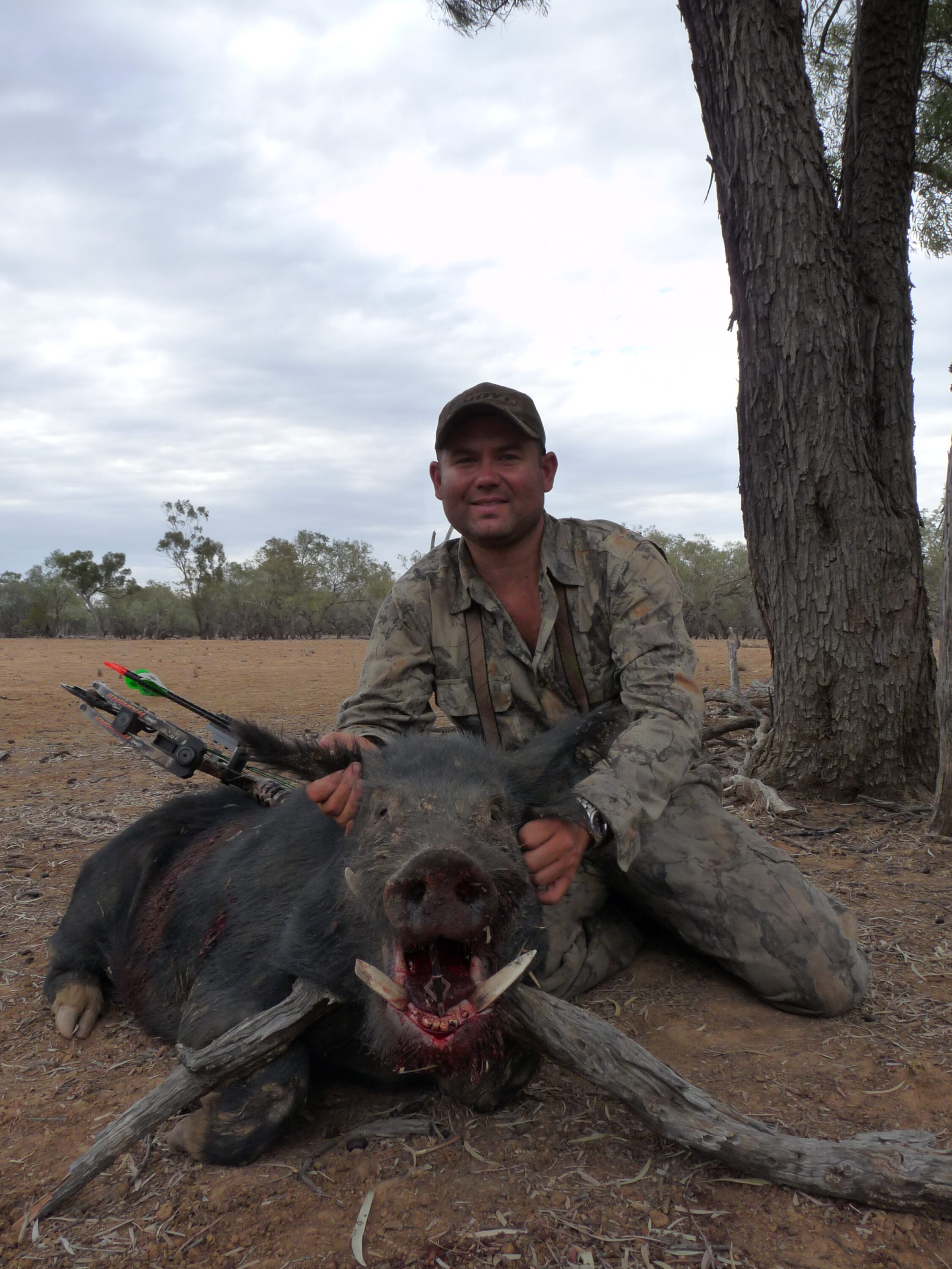 My best bowshot boar to date, his hooks measured 31 6/8 Douglas points.