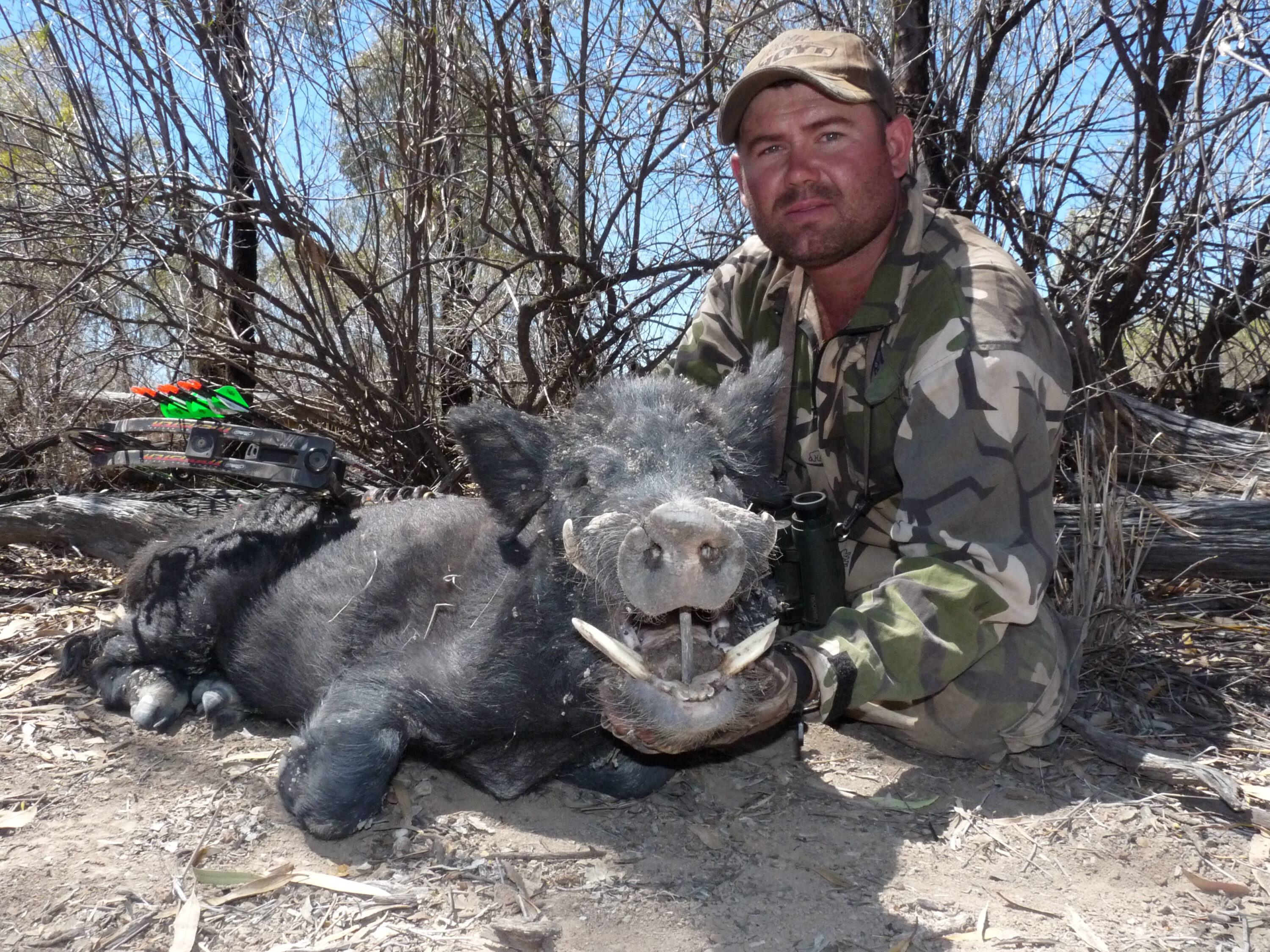 My big western Queensland boar taken with the 70lb MR7.