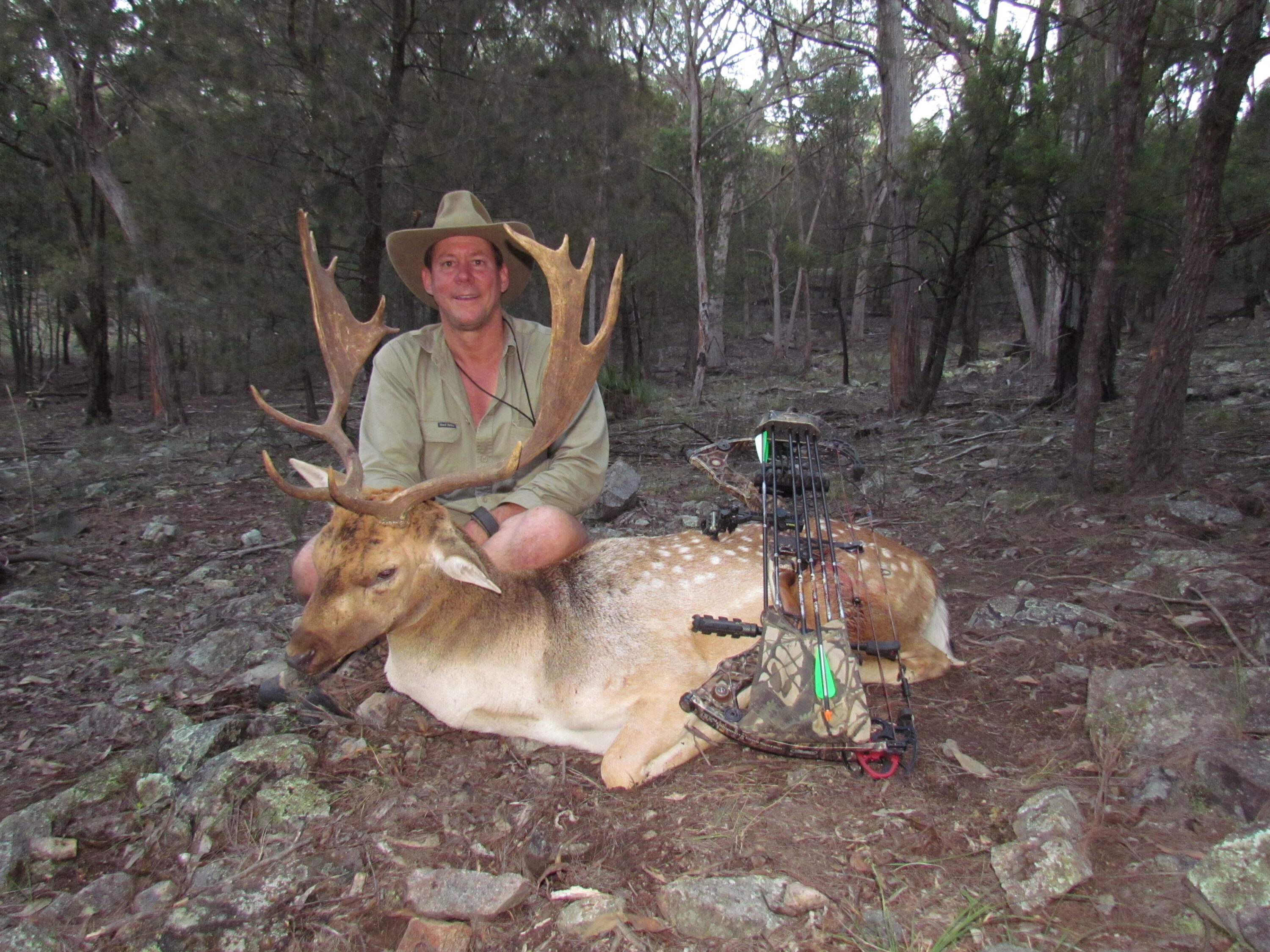 Steve’s best fallow to date.