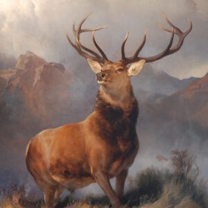 Monarch Of The Glen - Landseer