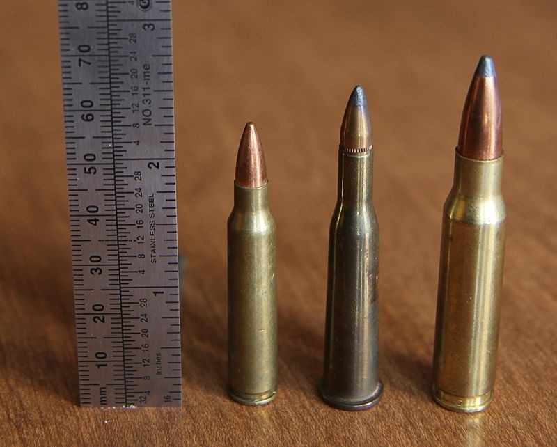 .223 Rem.(L), Savage .22 Hi-Power (C), .308 Win. (R)