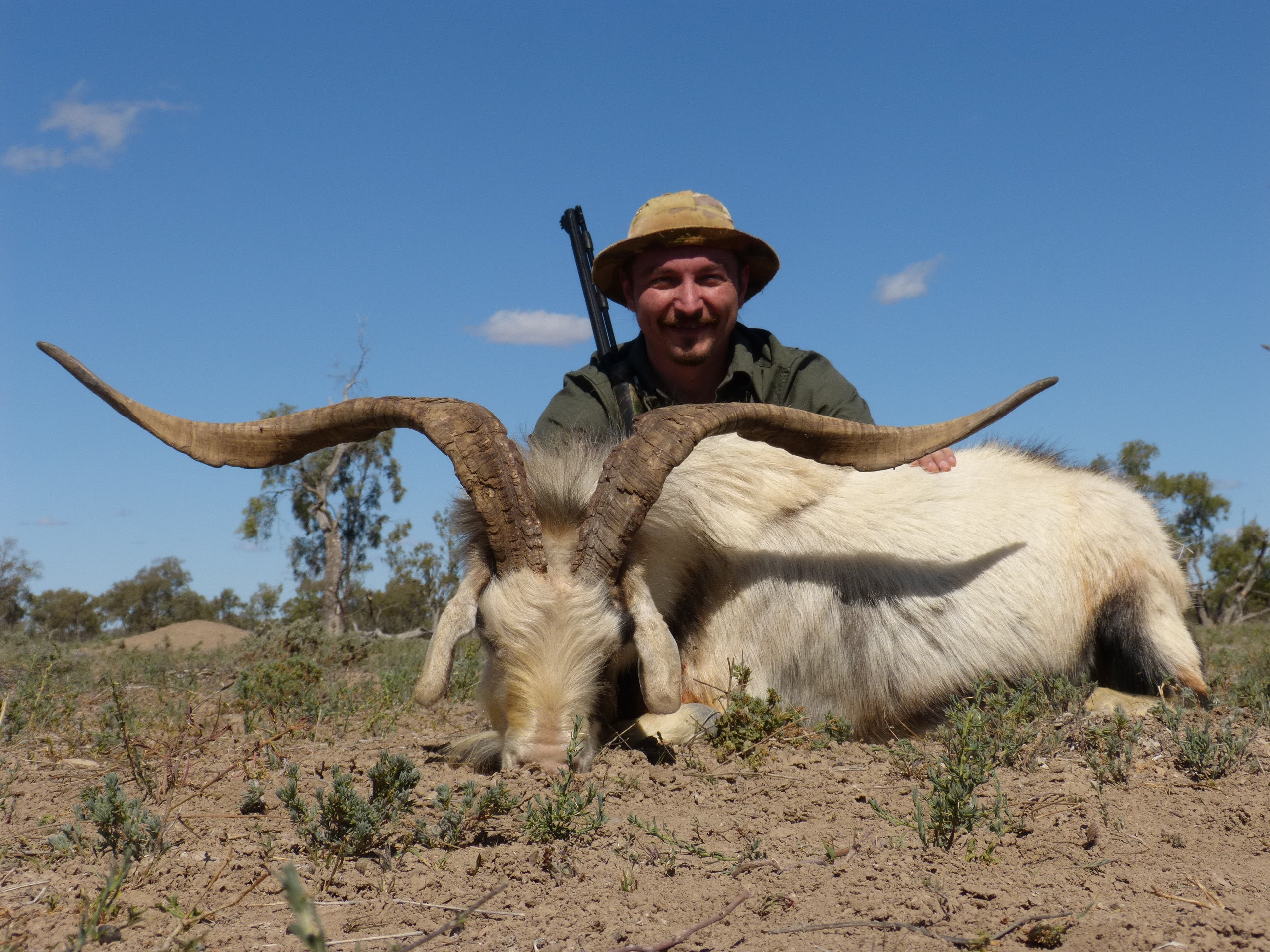 Tough Few Weeks - black powdered goat