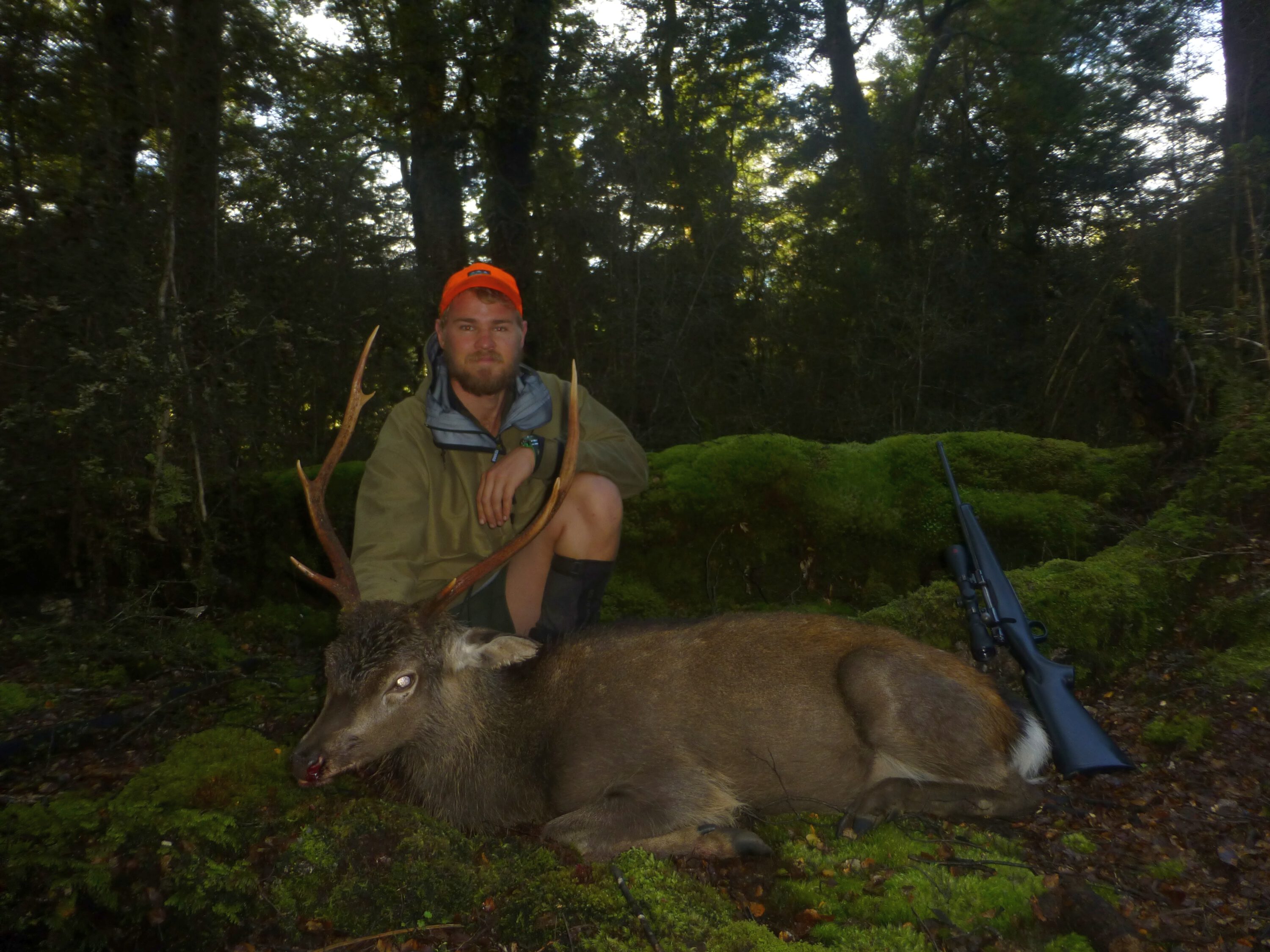 Tony Kamphorst's NZ sika hunt was rain-soaked and adventuresome.