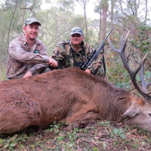 Reid's nice red stag was a bit of a circuit breaker.