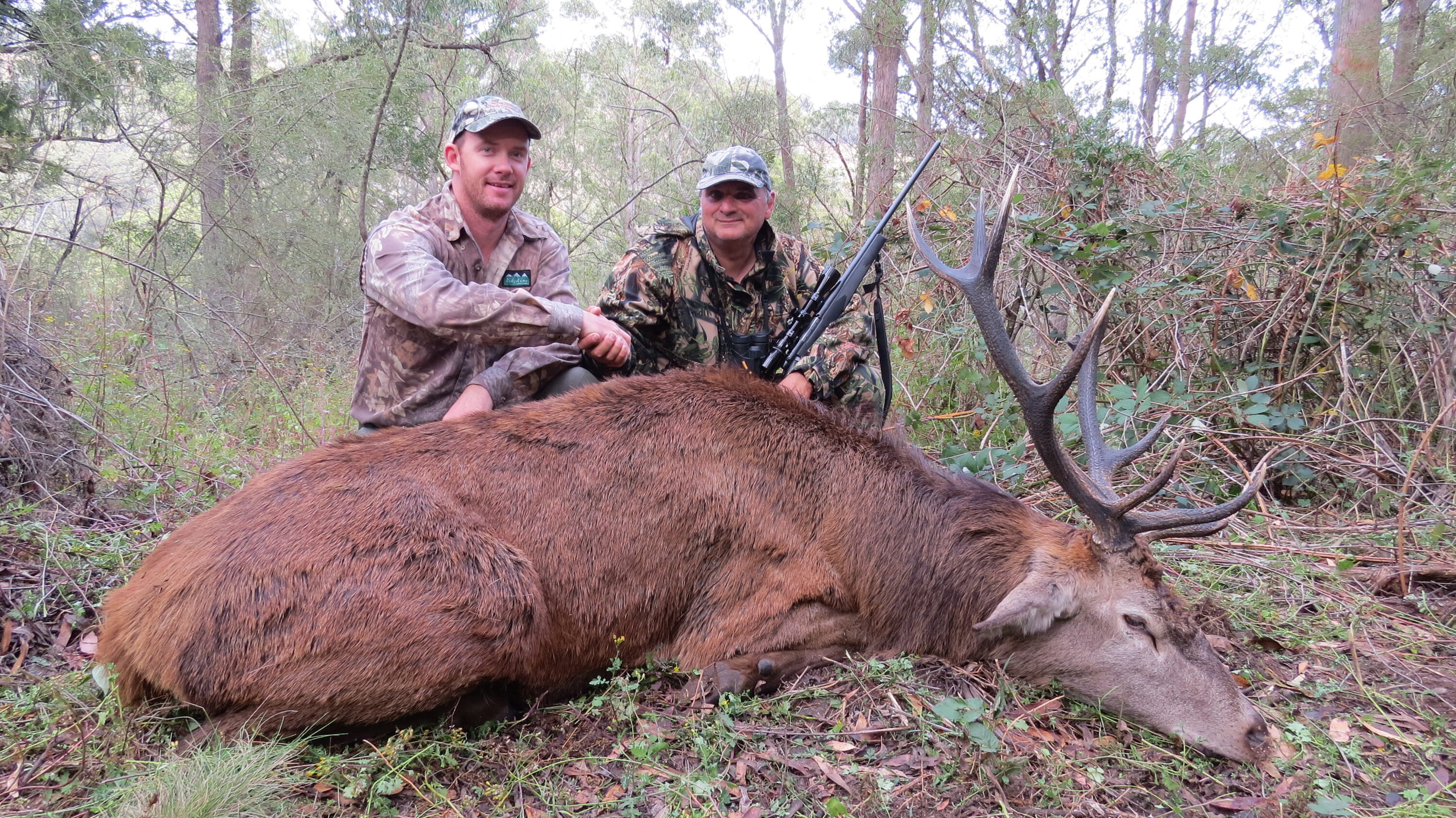 Reid's nice red stag was a bit of a circuit breaker.