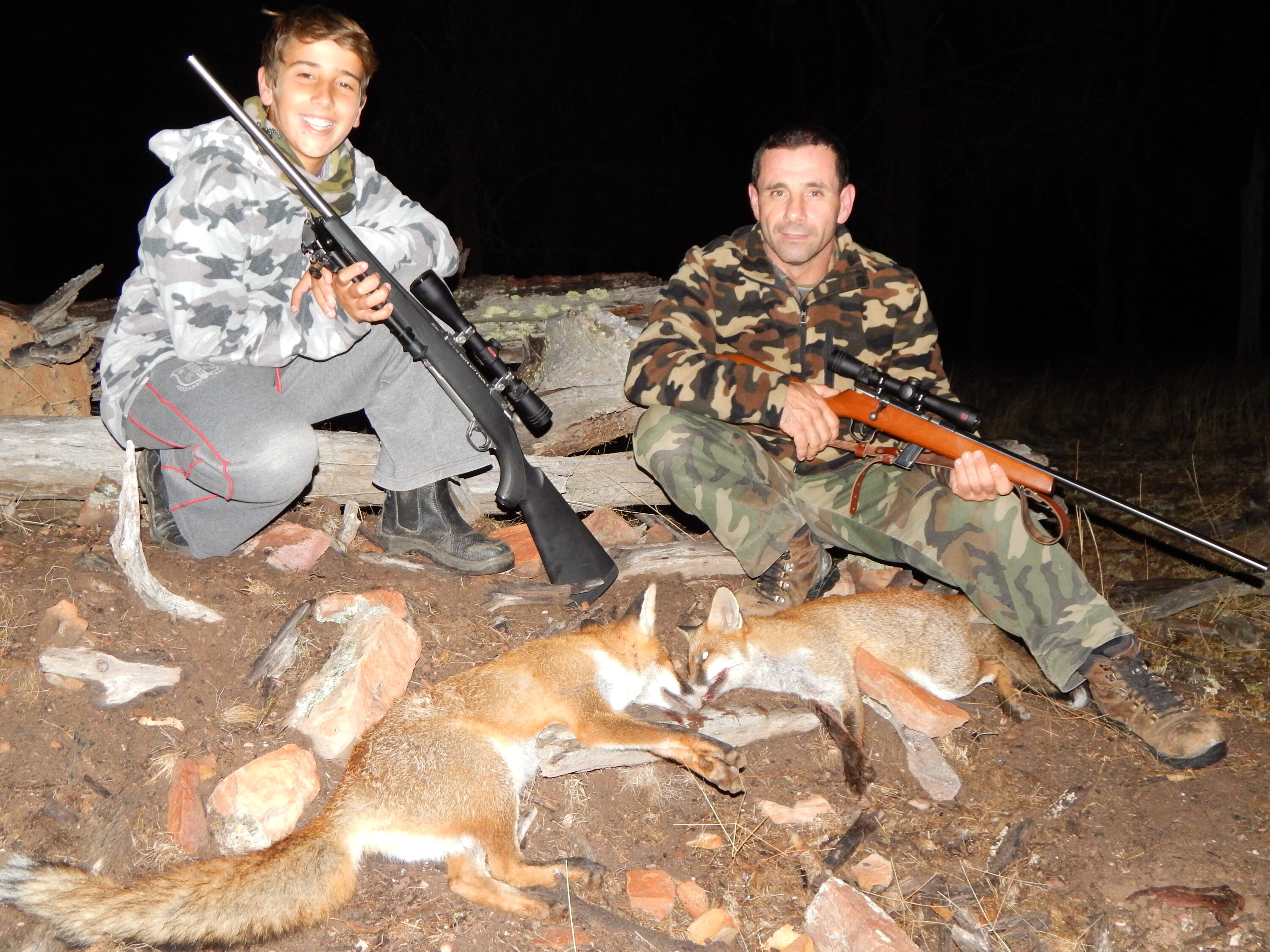 The fox on the right hung around for a bit too long after its mate was shot.