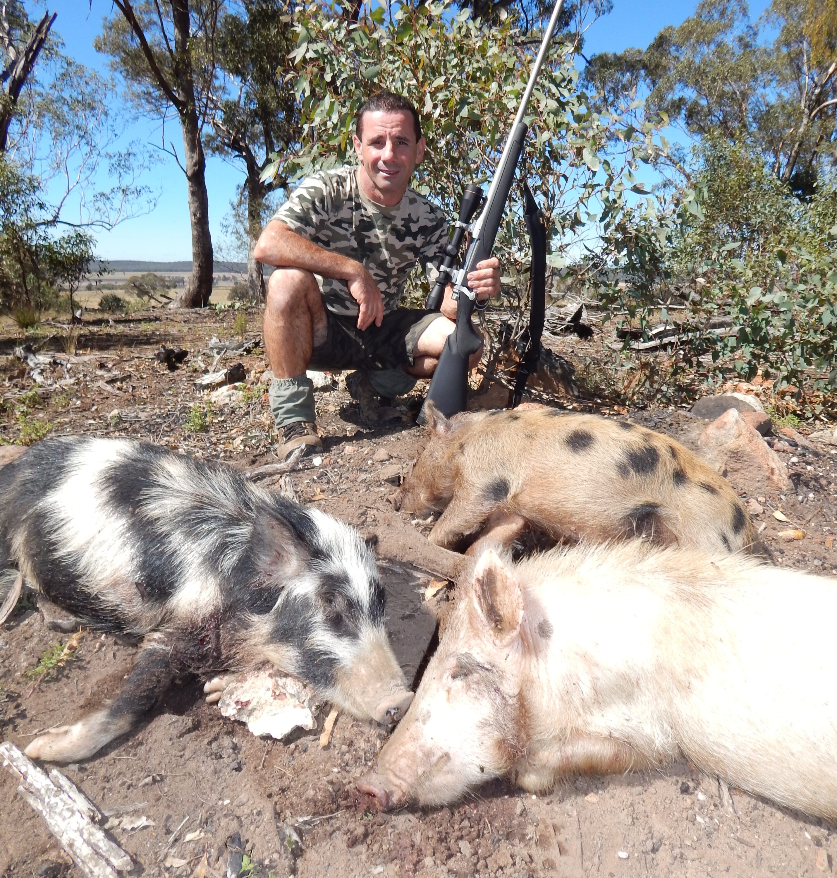 The author nailed these three porkers with three shots from his Remington.270.