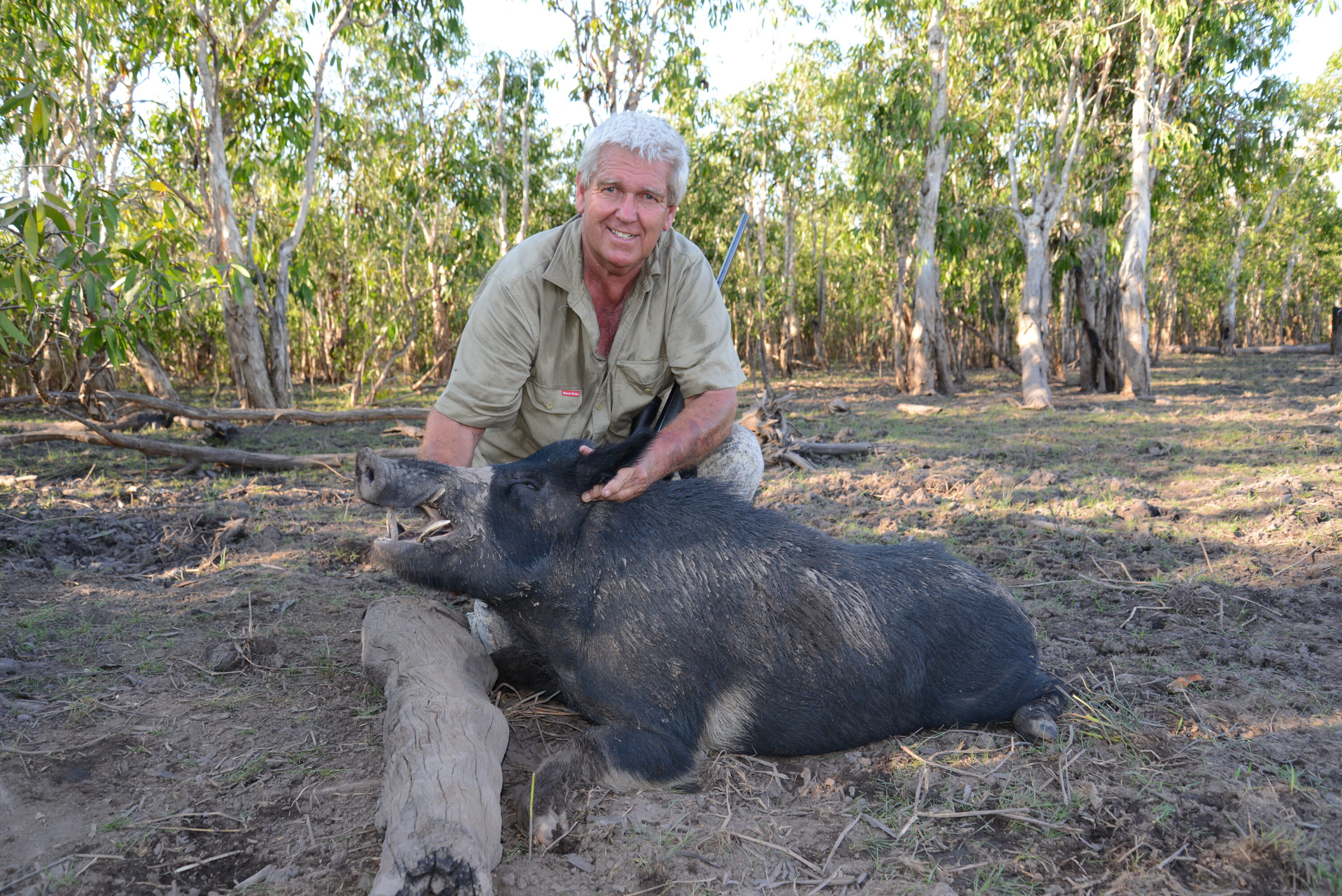 Razorback Country is a tale on non-stop action on northern boars.