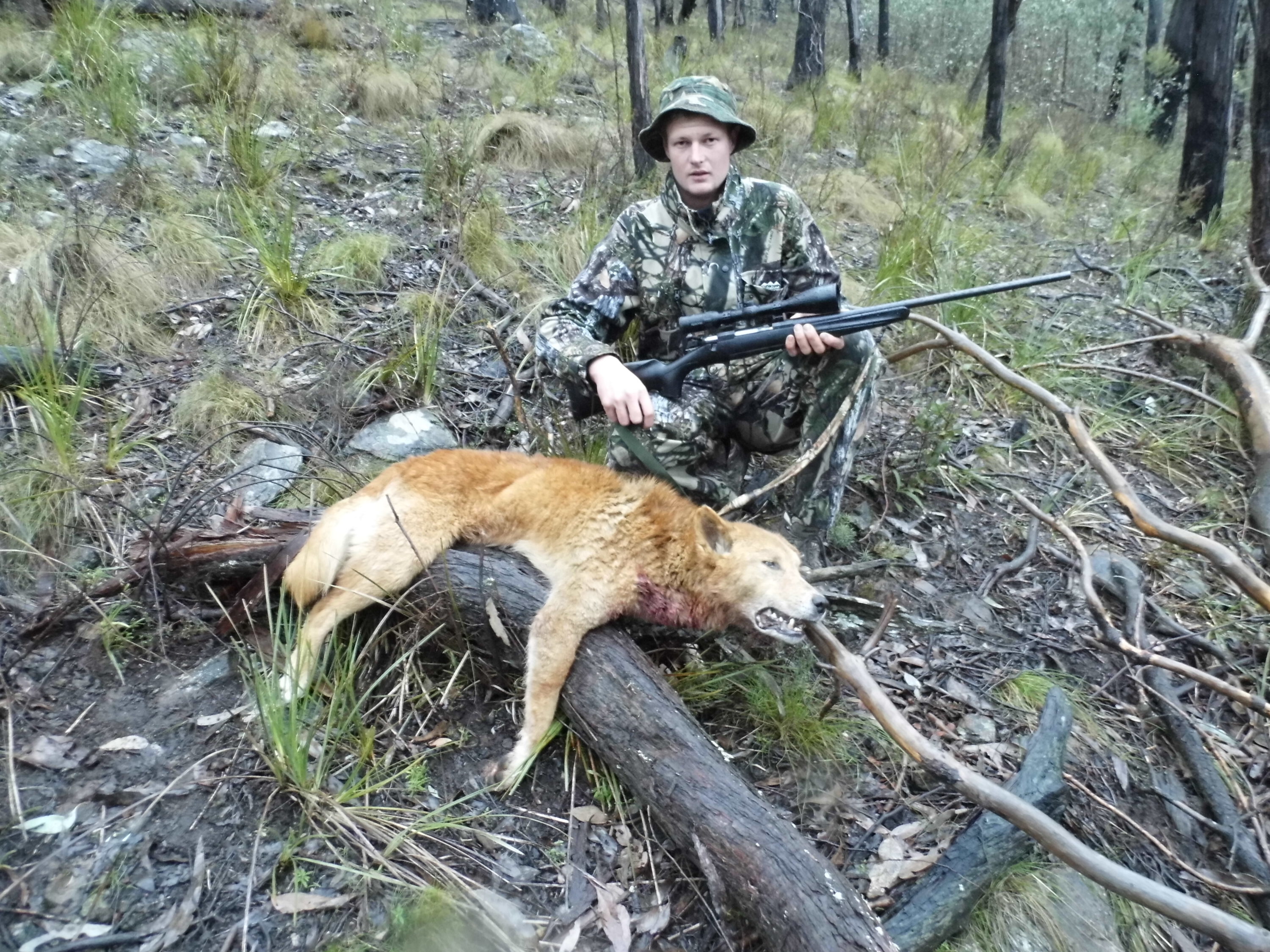 1. Leon seems to be coming across more and more wild dogs whilst deer hunting these days and the property owner is keen to see them taken care of.