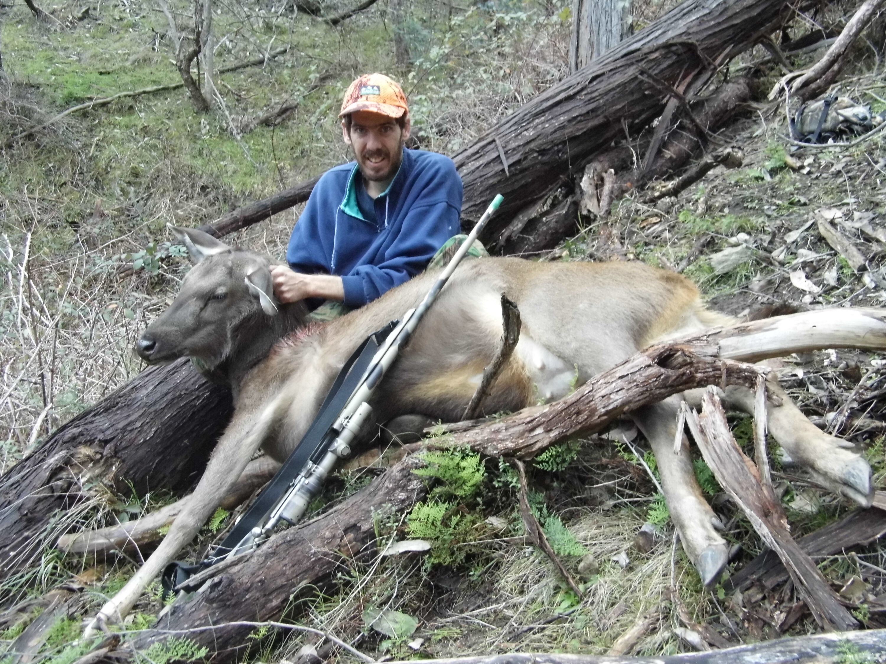 2. With our venison supply taken care of it was time for the party to look for the resident stag that they knew was in the area. This hind fell to Leon’s Ruger .338 Winchester Magnum using 250 grain projectiles.