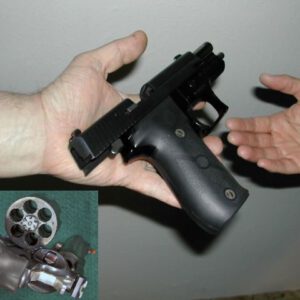 Handing firearms in to Queensland firearms dealers will not happen due to a Queensland Police SNAFU.