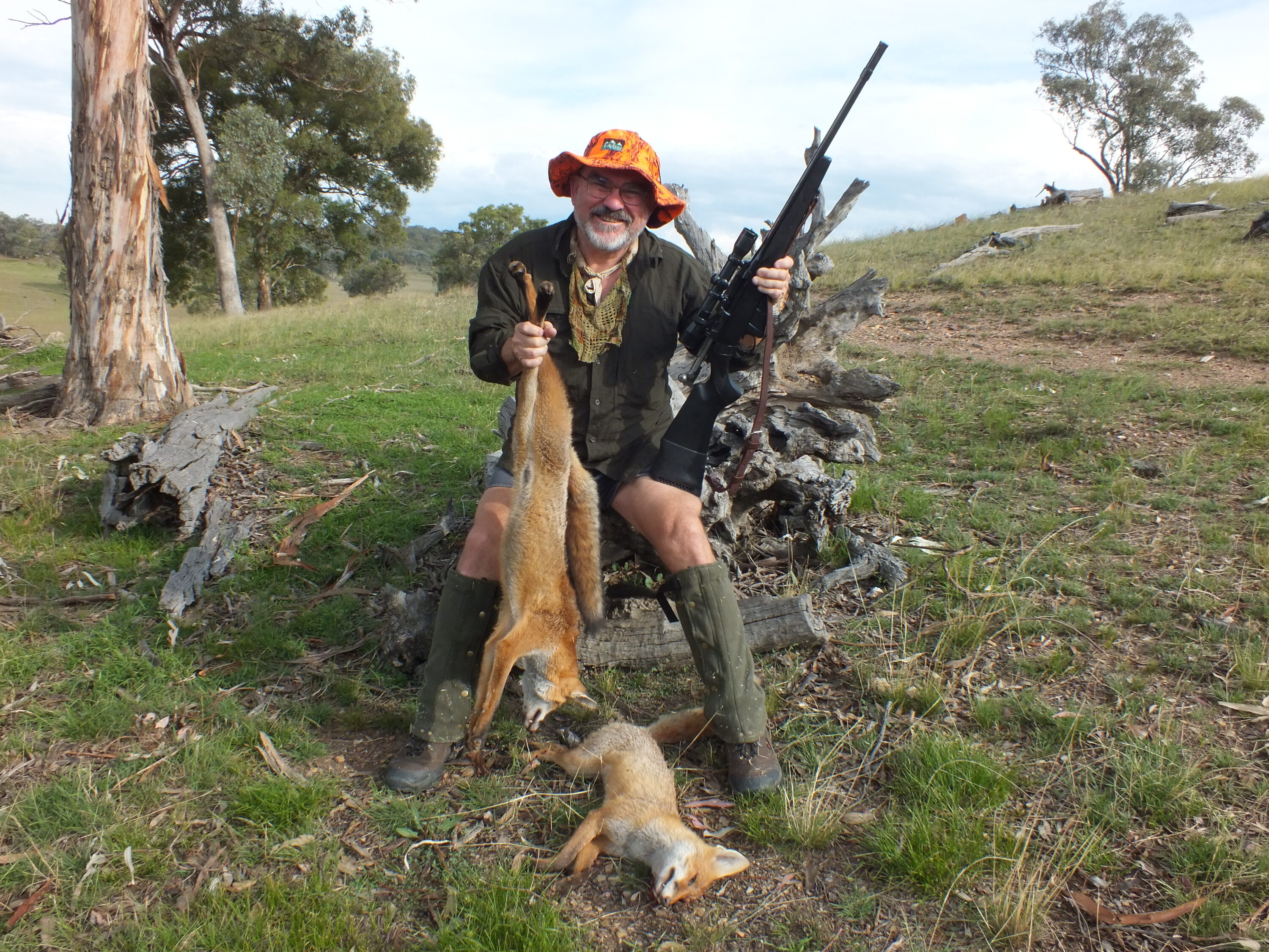 1. A dog and vixen opened the hunting account for Marcus' No4 .303. Taken at 30 and 180 metres within seconds of each other.