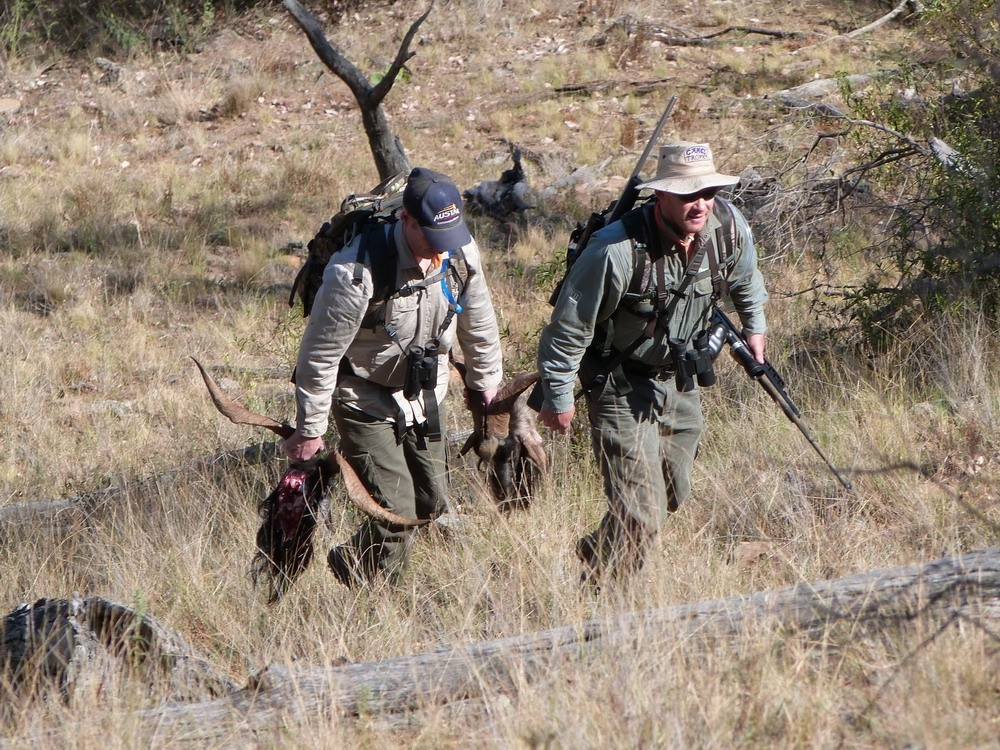 The tough walk out, Blake and brother Reid united in effort after the epic hunt.