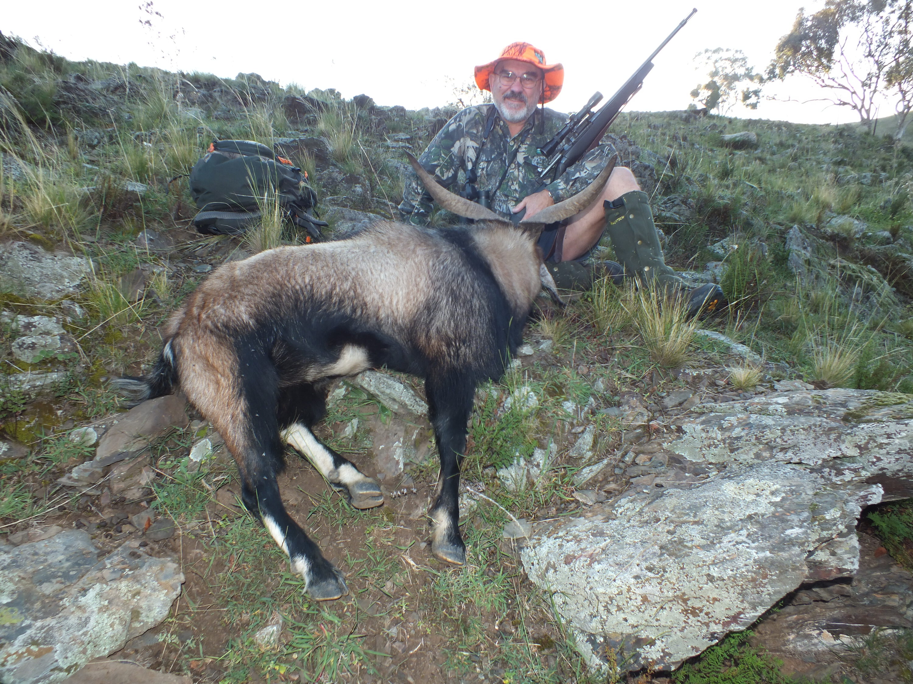 2. Billy number one, he dipped his head at the shot, to be drilled through the forehead instead of his brisket.