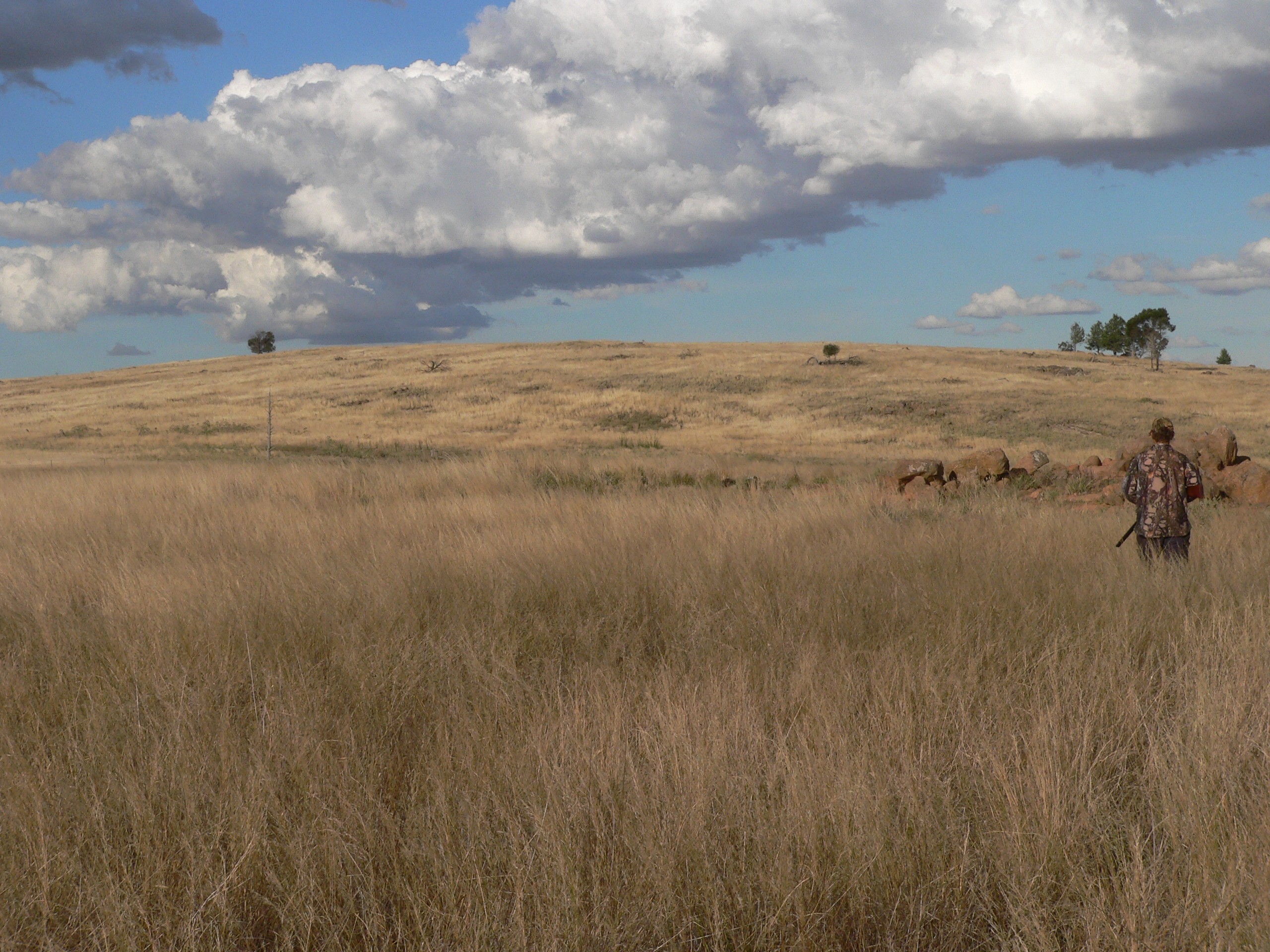 Approaching the warren from cover.