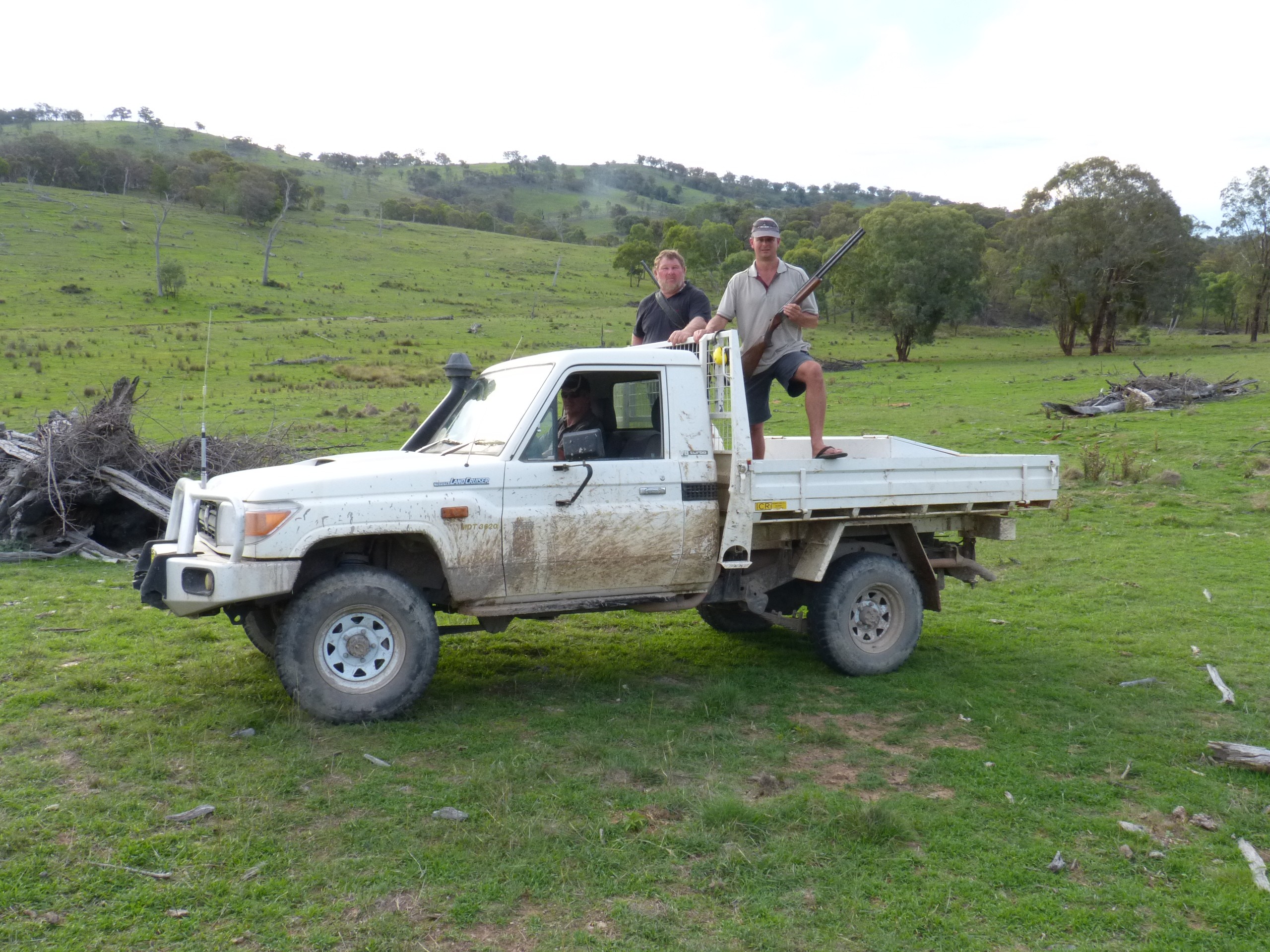 Scrub on the left with Greg on the back of the ute hunting “wabbits”