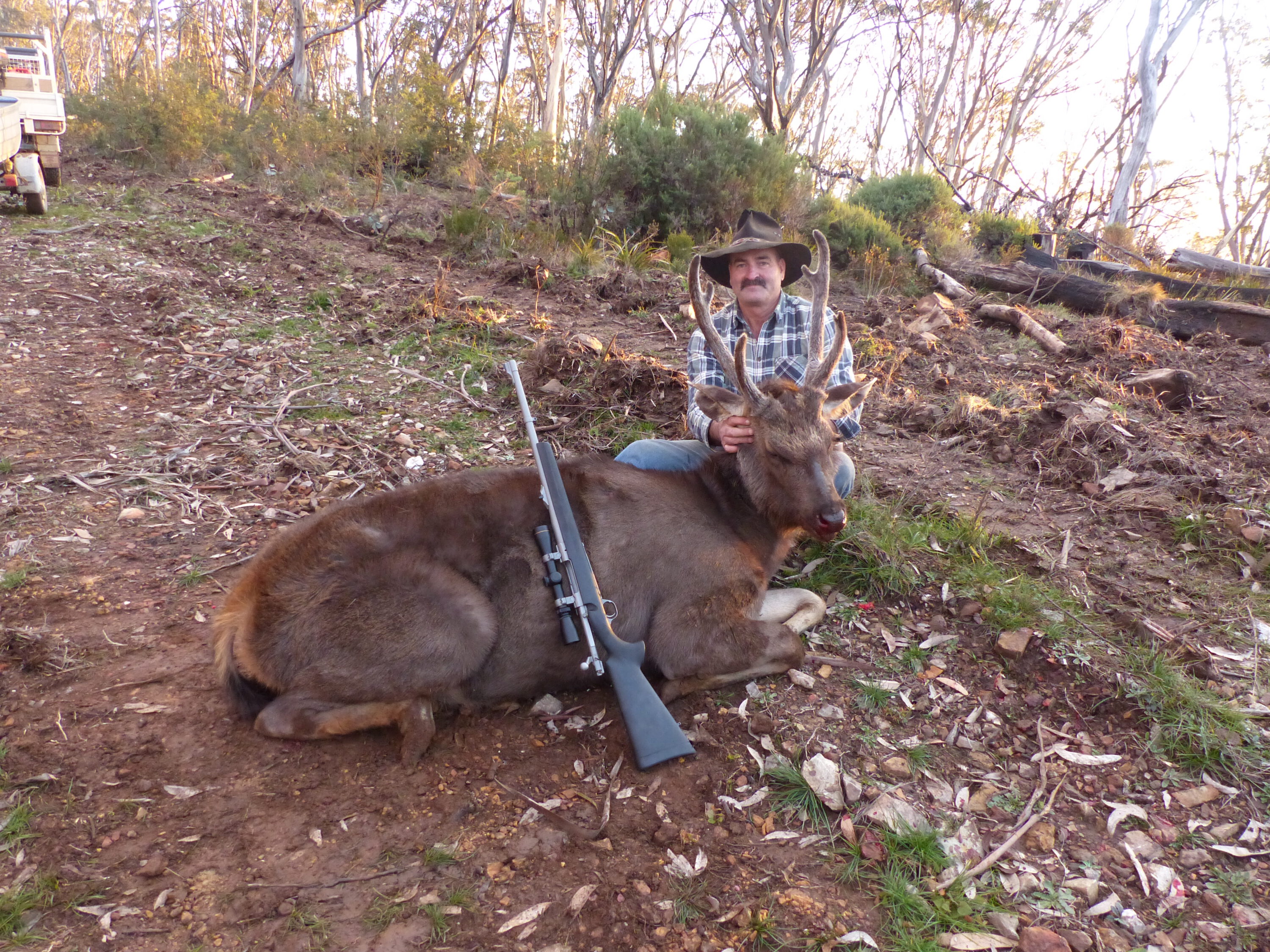 One of the three sambar taken in very close proximity on Ken Harding's public land hunt.