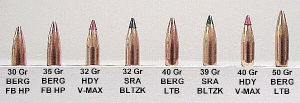 .204 bullet range